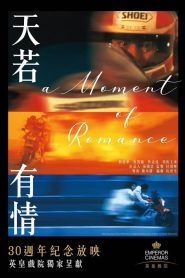 A Moment of Romance (1990) ผู้หญิงข้าใตรอย่าเตะ