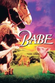 Babe (1995) เบ๊บ หมูน้อยหัวใจเทวดา