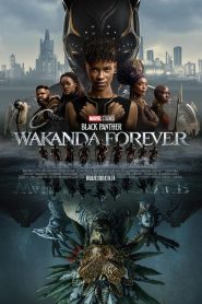 Black Panther Wakanda Forever (2022) แบล็ค แพนเธอร์ วาคานด้าจงเจริญ