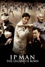 The Legend Is Born Ip Man (2010) ยิปมัน เปิดตำนานปรมาจารย์หมัดหย่งชุน