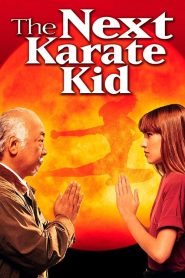 The Next Karate Kid (1994)